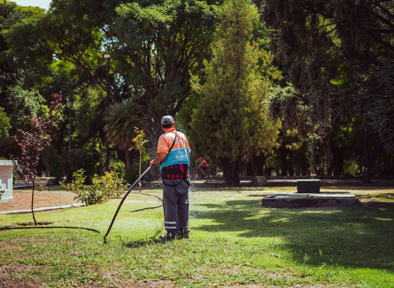 A gardener waters a lush park landscape in Mendoza, Argentina, on a sunny day.